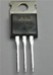 IRF1010E - F1010E N-Channel Hexfet Power Mosfet IRF1010E - F1010E N-Channel Hexfet Power Mosfet
