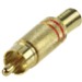 Spina RCA Dorata con Proteggi Cavo (riga rossa) Spina RCA Dorata con Proteggi Cavo (riga rossa)